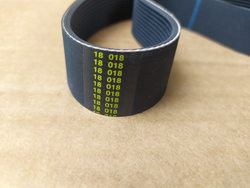 Ремінь полікліновий для картоплечистки Fimar 692144 559J