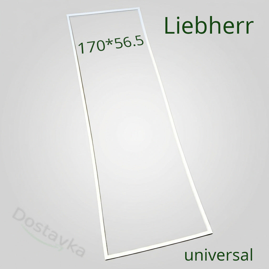 Уплотнение 56.5*170 холодильника Liebherr SGNes 3012, 42100