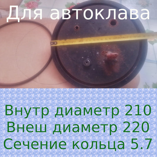 Кільце ущільнювача 220*210*5.7 для кришки автоклава