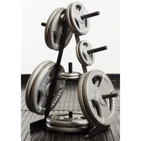 Стійка для дисків Toorx Rack 25 mm (RPD-25)