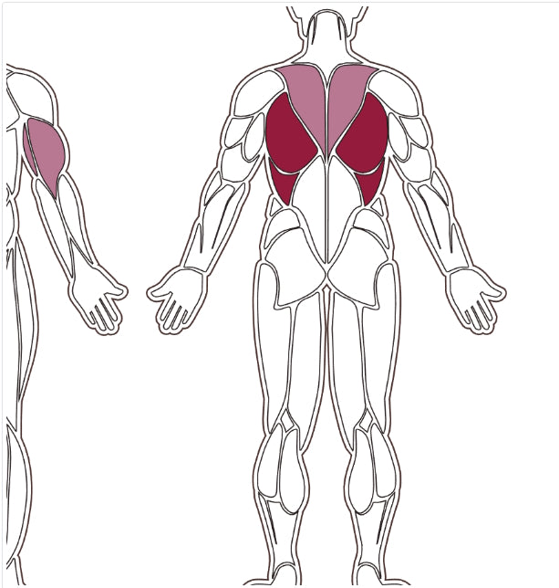Тренажер для тяги сидячи Toorx FWX-5200 ROW