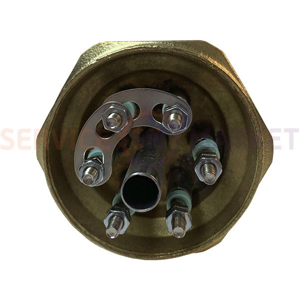 Блок тенів 6000W 220/380V L305mm гайка 2" для електричного казана Termo-Mix