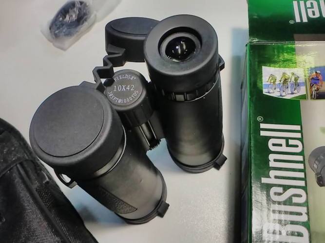 Bushnell 10x -42