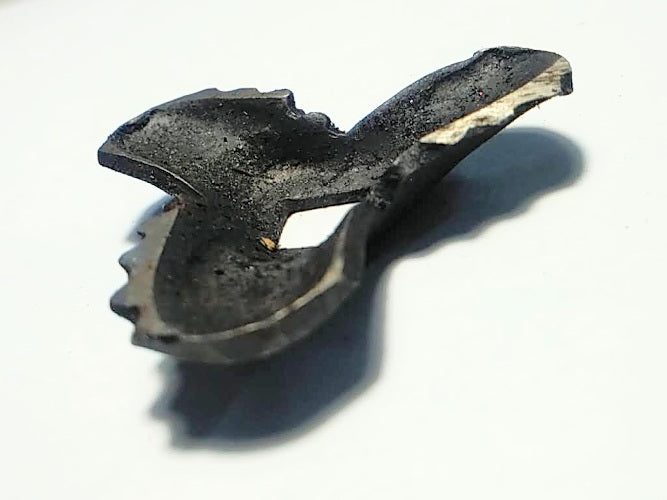 "Мрия" крыло