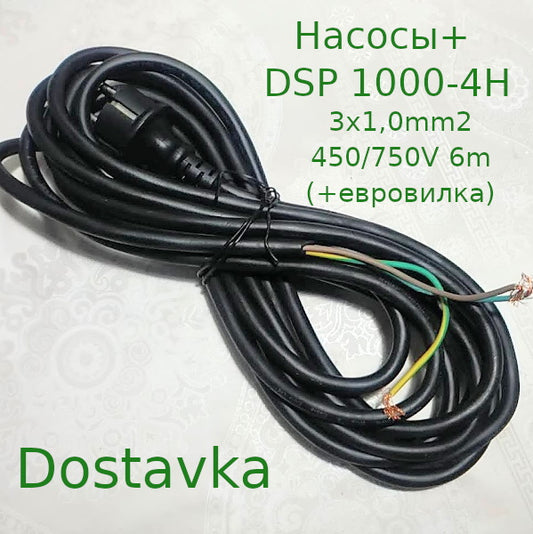 Насосы+ DSP1000-4H (H07RN-F) 3G1,0mm2 450/750V 6m (+евровилка) (A30)