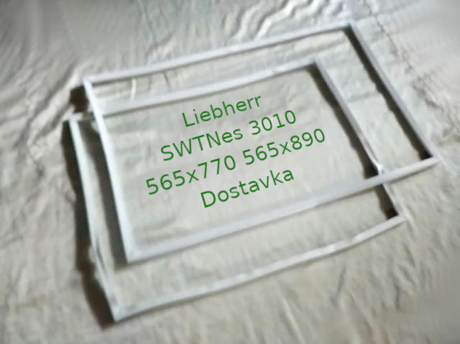 SWTNes 3010 565x770 565x890