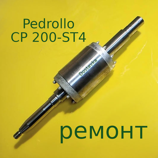 Pedrollo CP 200-ST4 L311-97-70 d66-18 thread 10