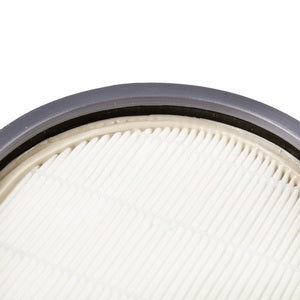 Набір фільтрів HEPA + мікрофільтр (контейнера) ZR904301 для пилососу Rowenta