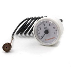 Манометр 0-6 бар для газового котла Immergas Avio/Zeus 1.022734