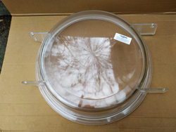 Кришка бункера ємності для картоплечистки Fimar, Angelo Po LCF, LCN, PLN, PPF серії