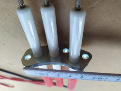 Електроди розпалювання та контролю полум&aposя для пароконвектомата Electrolux Professional 103225