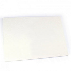 Теплоізоляційна панель задня 310*215 мм для газового котла Protherm Тигр v.10-11 0020033582