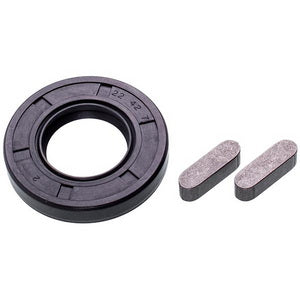 Сальник 42x22x7mm для картоплечистки Equipe PSP700 LF9186050
