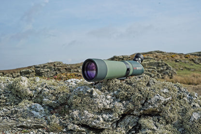 Підзорна труба Kowa TSN-82SV 82 mm Angled (10565)