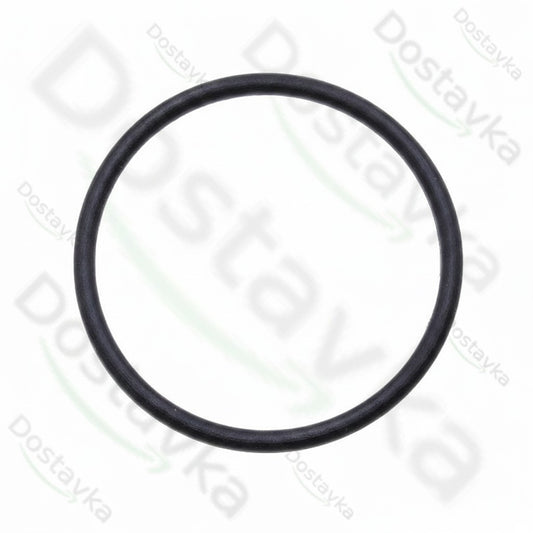 Уплотнительное кольцо мойки высокого давления Tekhmann PWA-160/2500 IM (22*1)