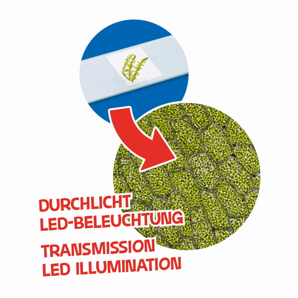 Мікроскоп Bresser Junior 40x-640x Purple з набором для дослідів та адаптером для смартфона (8851300GSF000)