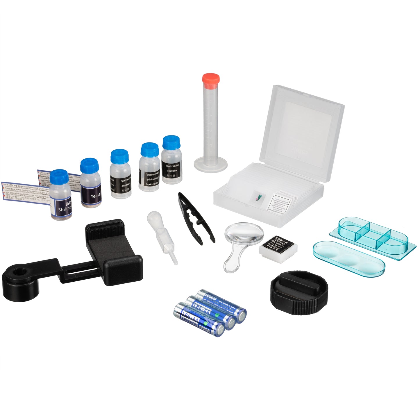 Мікроскоп Bresser Junior 40x-640x Green з набором для дослідів та адаптером для смартфона (8851300B4K000)