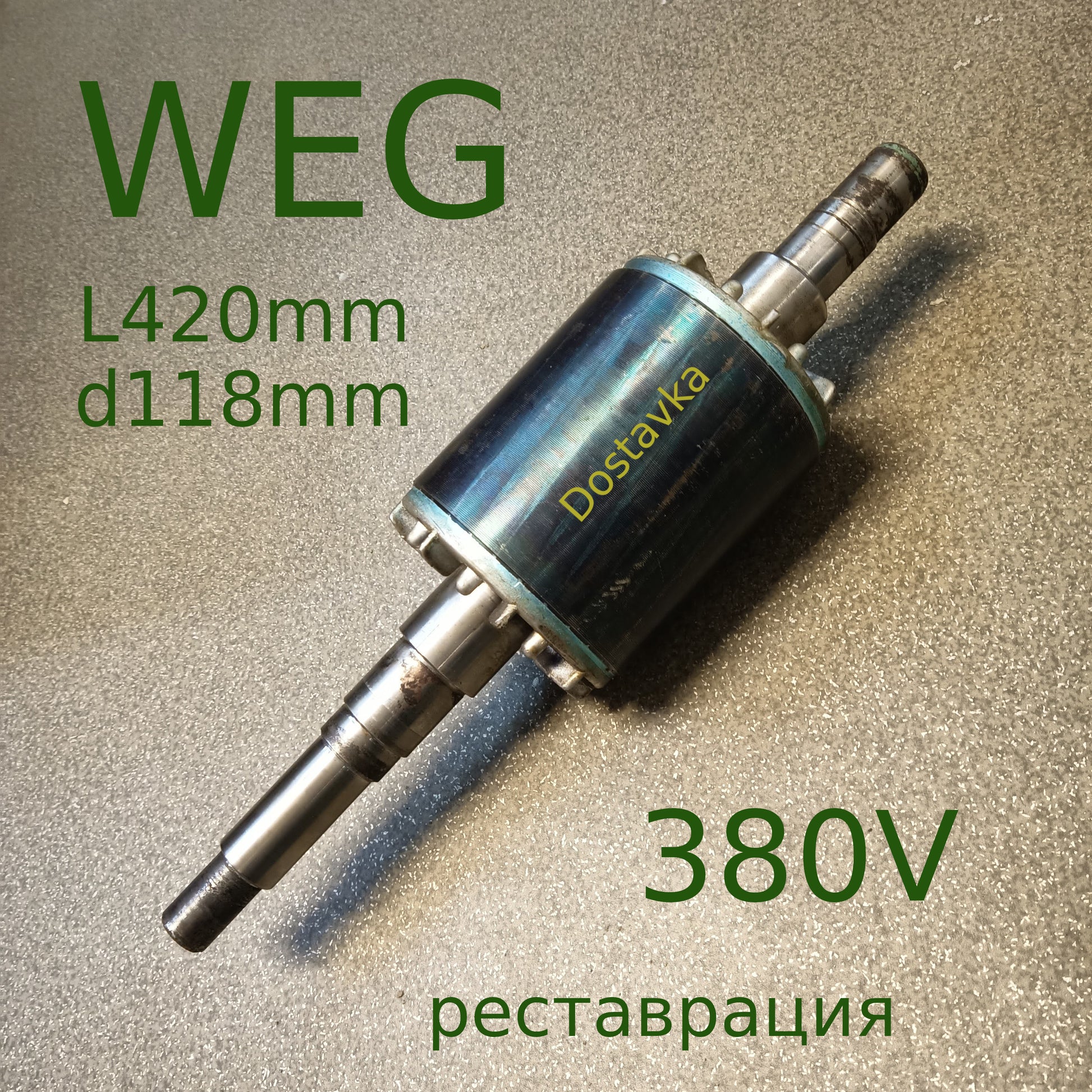 WEG L420 d118