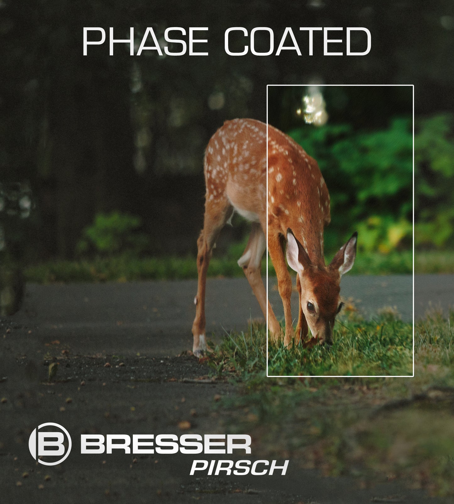 Бінокль Bresser Pirsch 8x56 WP Phase Coating (1720856)