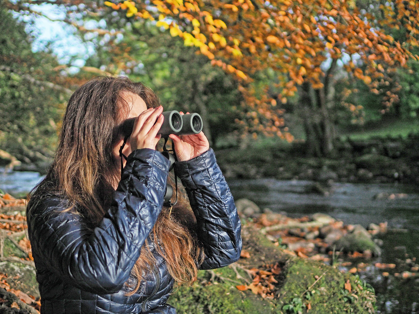 Бінокль Kowa Genesis Prominar XD 8x33 (10559)