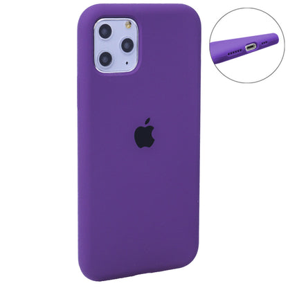 Original Silicone Case Full Size iPhone 12 Pro Max 6.7" — Cactus (61)