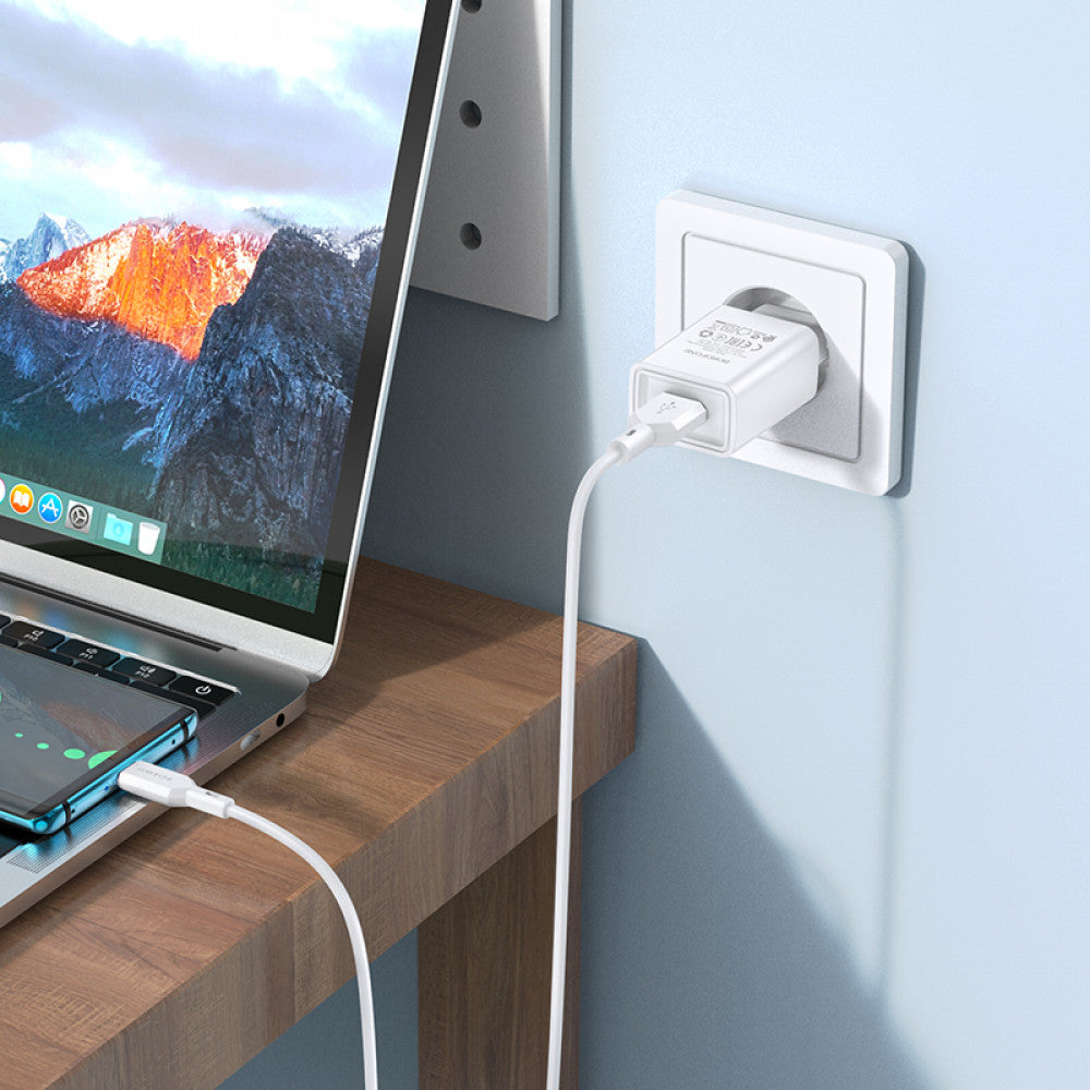 Home Charger 2.1A 1U USB C Cable (1m) Borofone BA68A — Black