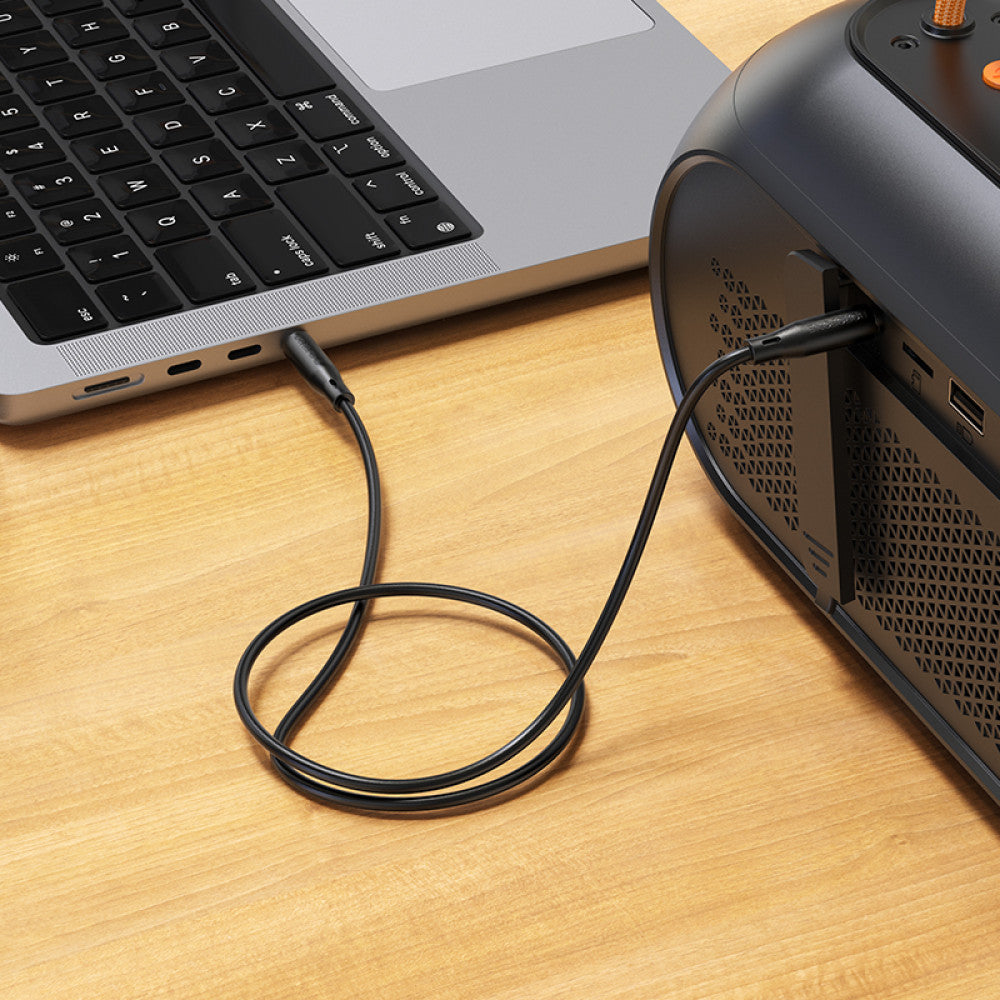 Cable Aux (1m) — Hoco BL26