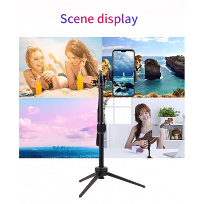 Monopod Tripod (0.39m) — Jmary MT-68