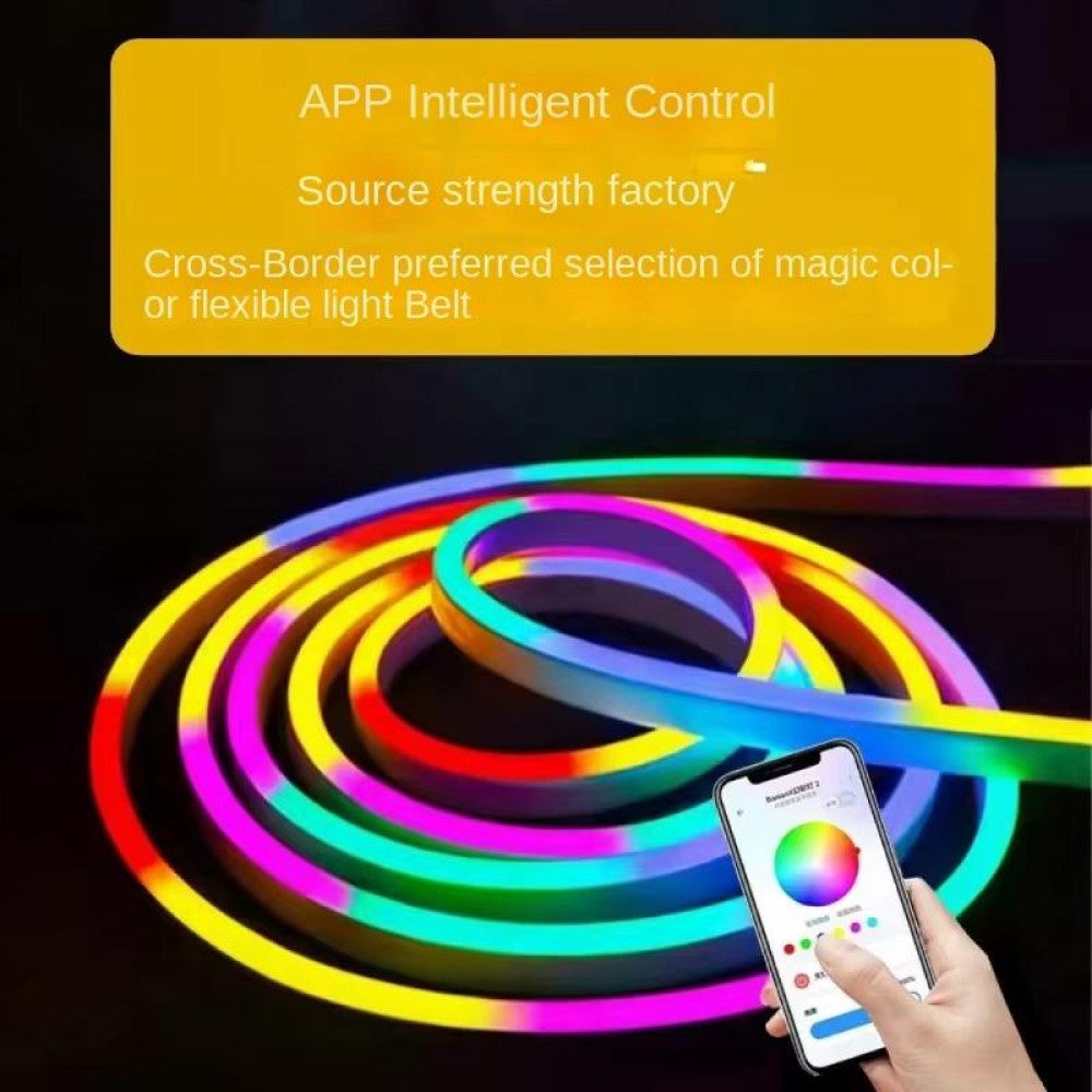 LED лента RGB Neon Rope 5м c пультом IP67