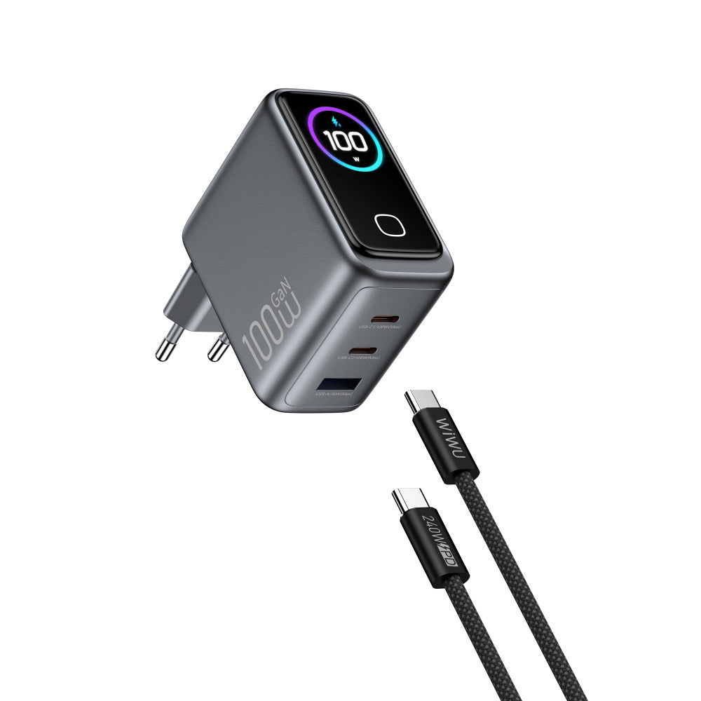 Home Charger | 100W | GaN | 1U | 2C | C to C Cable (1m)— Wiwu CHG300