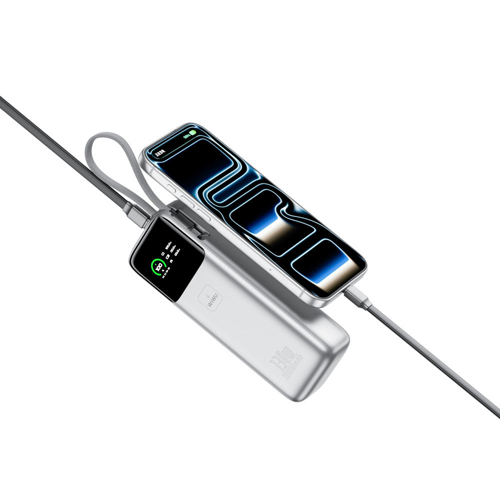 Power Bank 20000 mAh | 130W — WiWU PM301