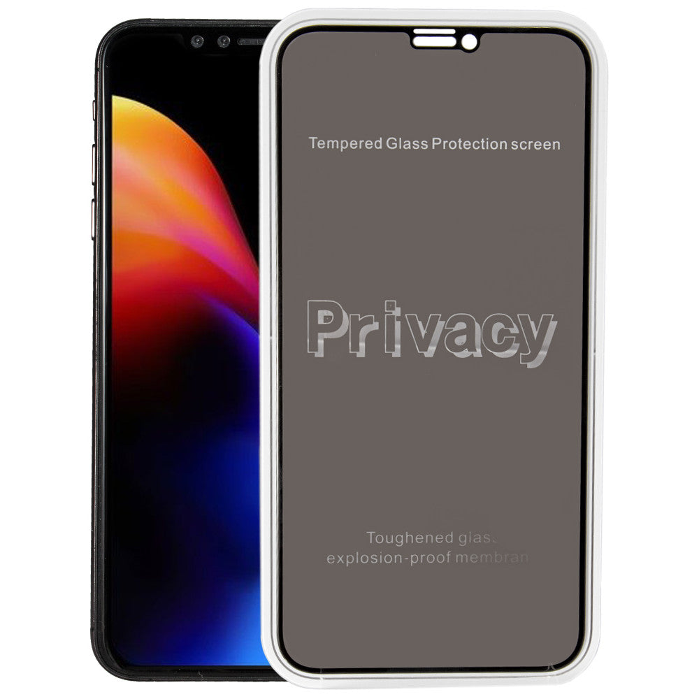 Захисне скло Privacy 3D iPhone 12 : 12 Pro Black