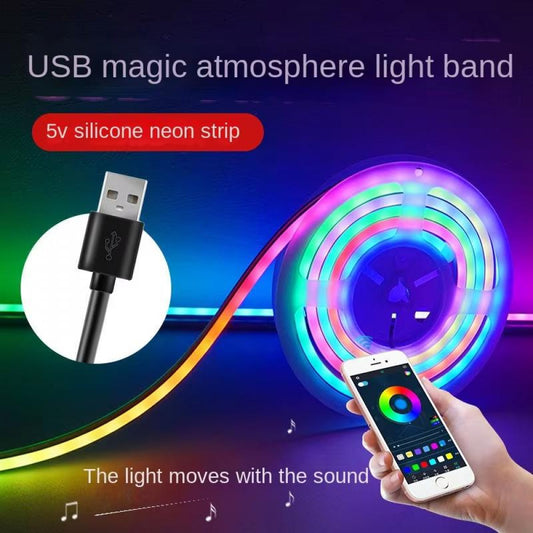 LED лента RGB Neon Rope 10м c пультом IP67