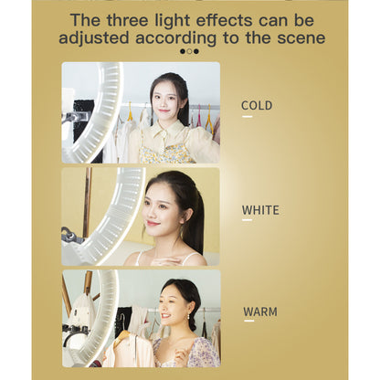 Лампа Кільцева LED Veron FS-640 II 55см 100W 3200-5500K white з дзеркалом