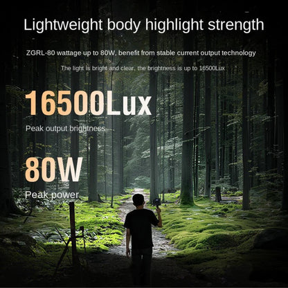 Светодиодный осветитель LED ZGRL80