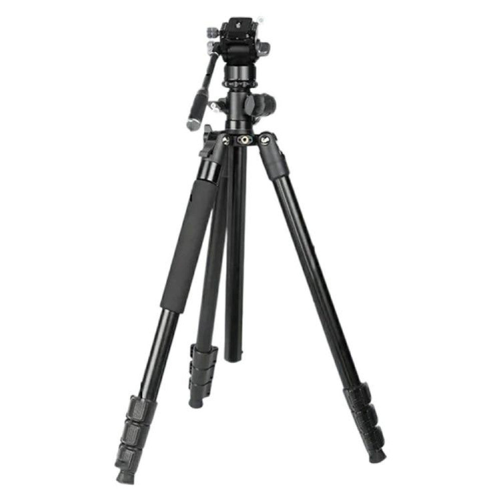Monopod Tripod (1.85m) — Jmary KS355+HG60