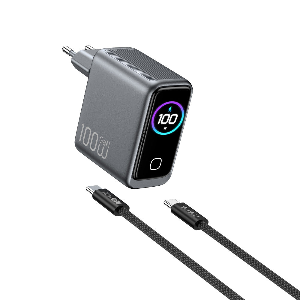 Home Charger | 100W | GaN | 1U | 2C | C to C Cable (1m)— Wiwu CHG300