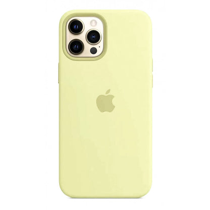 Original Silicone Case Full Size iPhone 13 Pro Max 6.7" — Cactus (61)