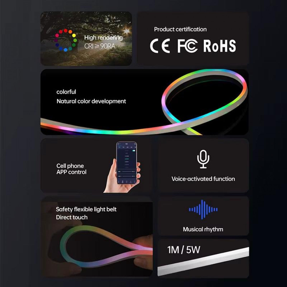 LED лента RGB Neon Rope 5м c пультом 5V