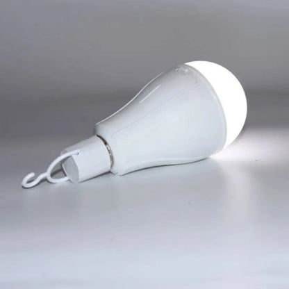 LED Lamp 20 Watt с аккумулятором E27