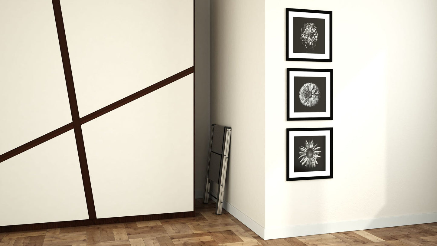 Драбина Colombo Leonardo 2 щаблі (G300A02W)