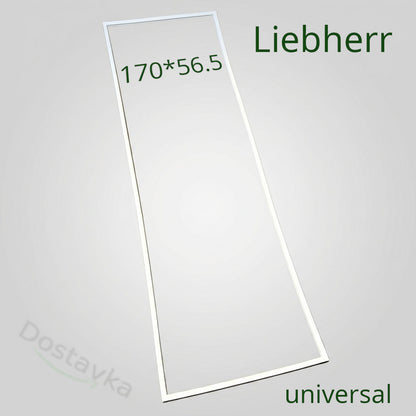 Уплотнение 56.5*170 холодильника Liebherr SGNes 3012, 42100