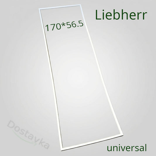 Уплотнение 56.5*170 холодильника Liebherr SGNes 3012, 42100