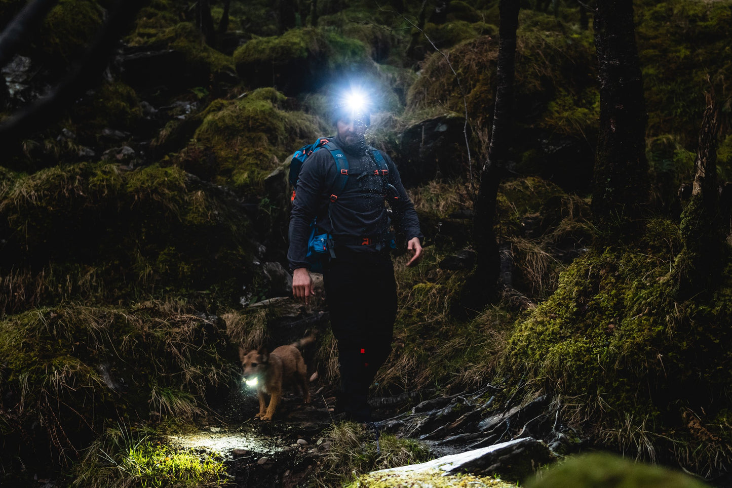 Ліхтар налобний Highlander Polaris 550 Rechargable Head Torch Black (TOR195)
