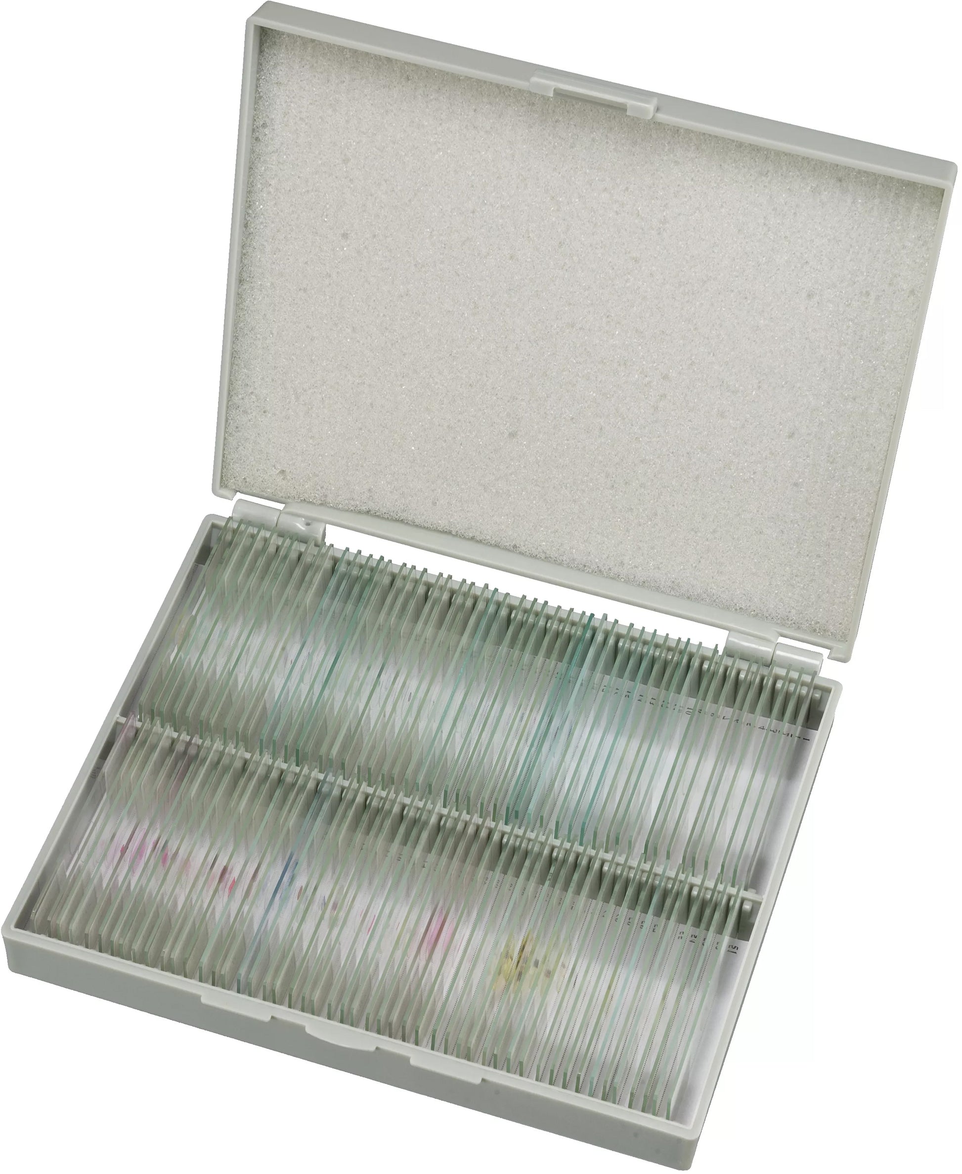 Набір мікропрепаратів Bresser 100 шт (5986003)