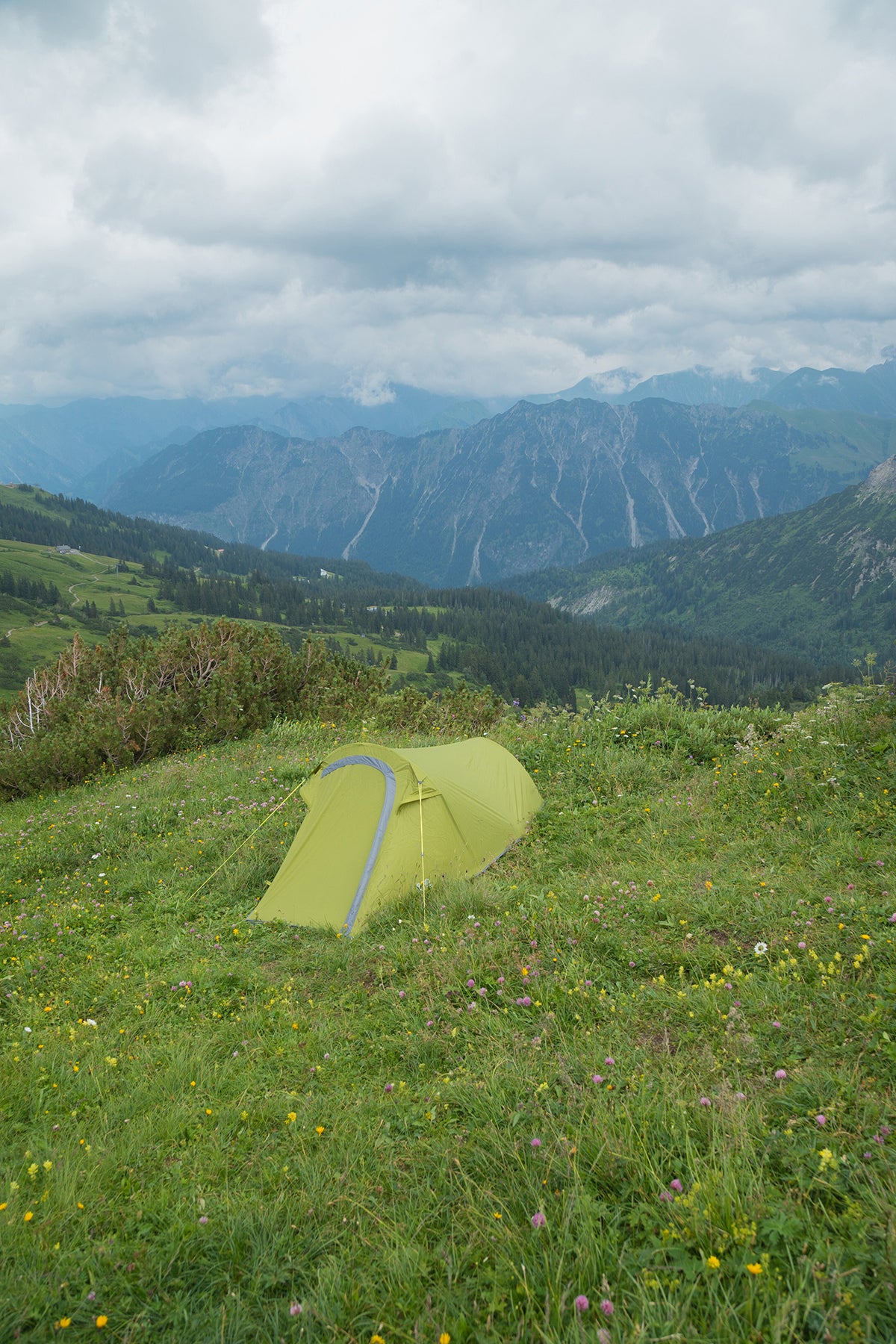 Намет Vango Soul 300 Treetops (TERSOUL T15165)