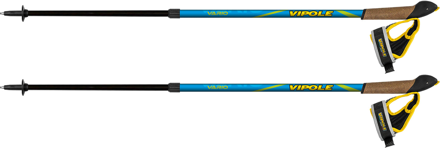 Палиці для скандинавської ходьби Vipole Vario Novice Blue/Green (S20 33)