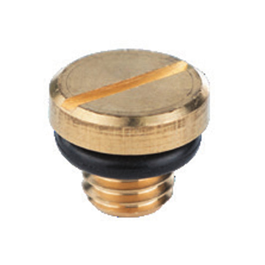 Пробка маслозаливна (М8×1.25) для свердловинних насосів DONGYIN (777101108) Ø75-96мм