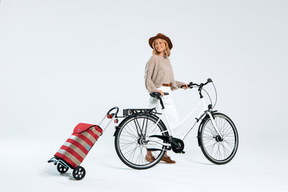 Сумка-візок Andersen Scala Shopper Anea Grey (112-175-20) 
