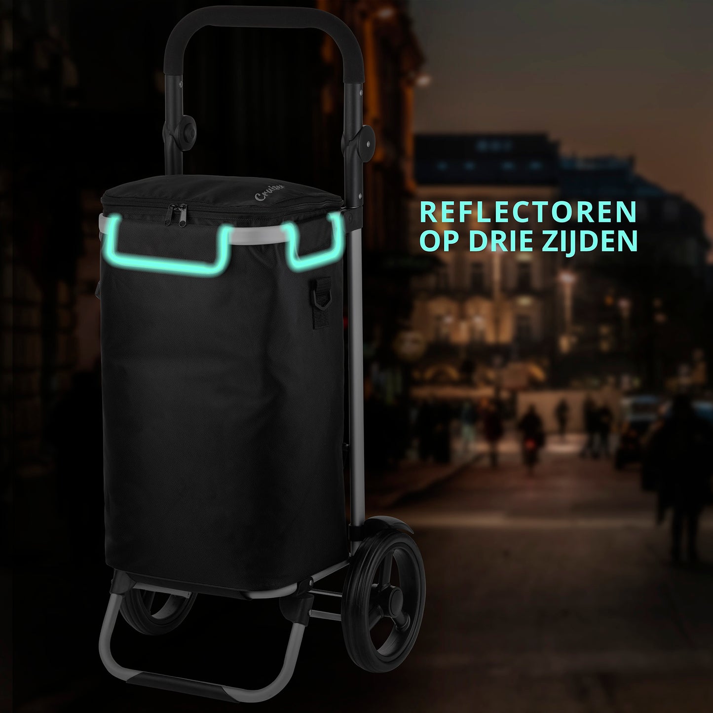 Cумка-візок ShoppingCruiser Allround Black (650064)